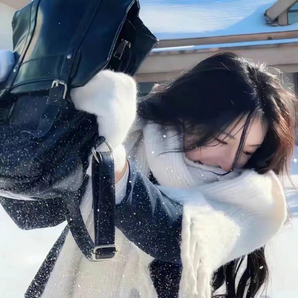 女王鲨